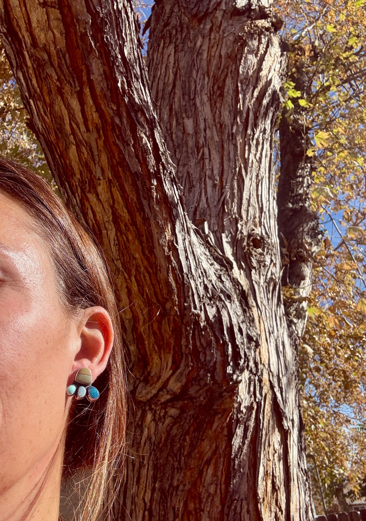 Jasper, Turquoise + Opal Firefly Earrings