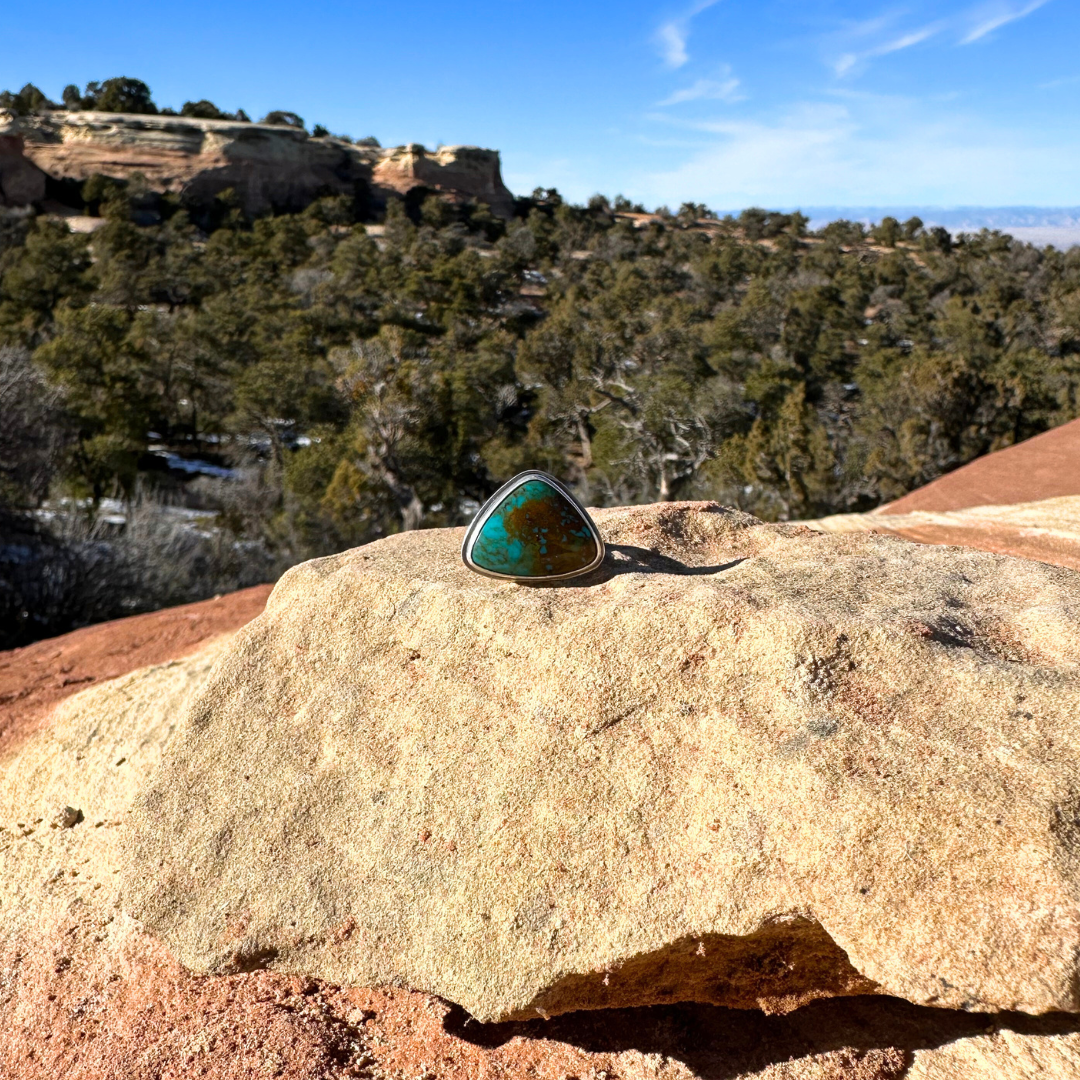 Turquoise Ring - Size 8