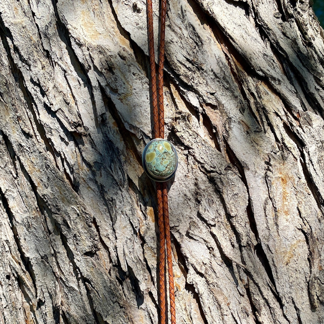Turquoise Bolo